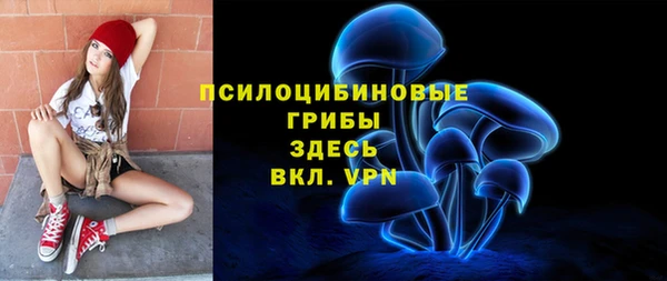 spice Алзамай