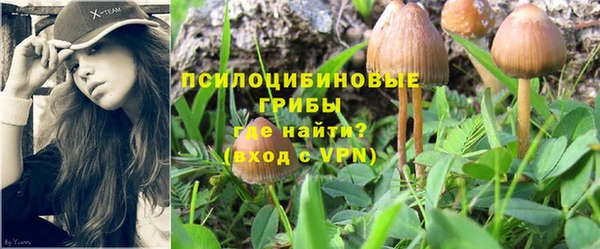 соль ск Нязепетровск